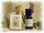 Lavender 'Lulla-Baby' - Product Image