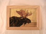 Marquetry Top Box  (5 X 4) - 'The Moose' - Product Image