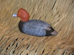 Red Head Drake Basswood Decoy
