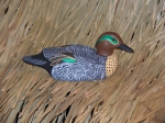 Green Winged Teal Drake Basswood Decoy