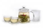 Teaposy Garden Gift Set - Product Image