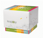 Teaposy Tea 'Medley' (Variety) 6 Pack - Product Image