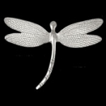Dragonfly Pin-Pendant