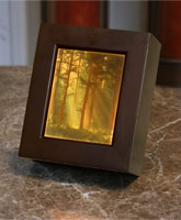 Woodlands Sunbeams Shadow Box (Colored Lithophane)